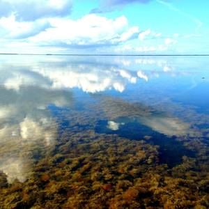 Meet your Posher, Brad n dora